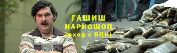 гидра Абаза