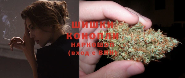 гидра Абаза