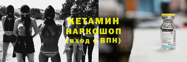 гидра Абаза