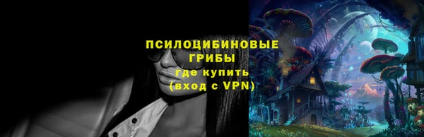 гидра Абаза