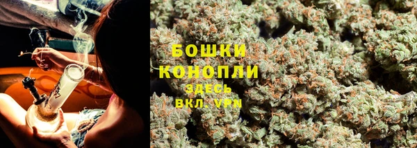 гидра Абаза