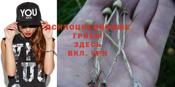 гидра Абаза