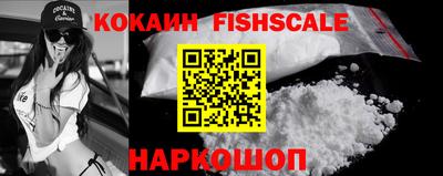 кокс Можга