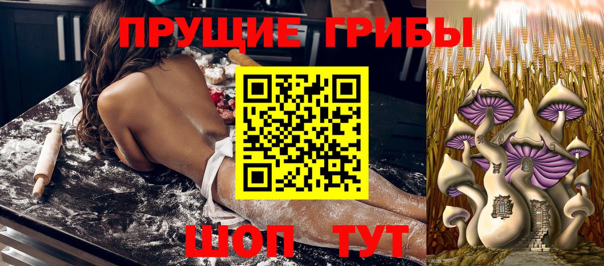 Галлюциногенные грибы Psilocybine cubensis  Псилоцибиновые грибы MAGIC MUSHROOMS  цены   Вход с VPN  Юрга 