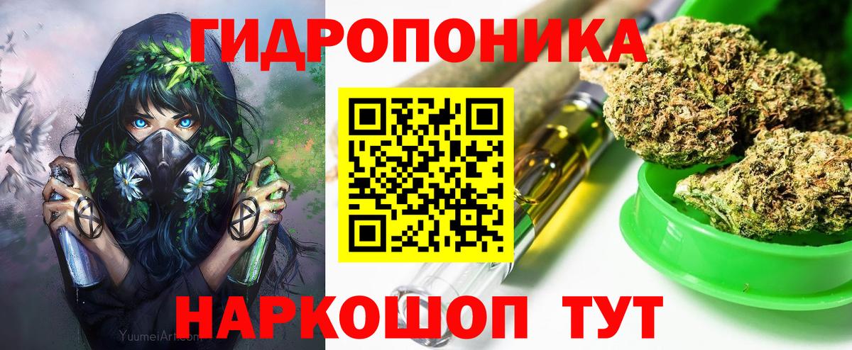 Марихуана конопля Юрга